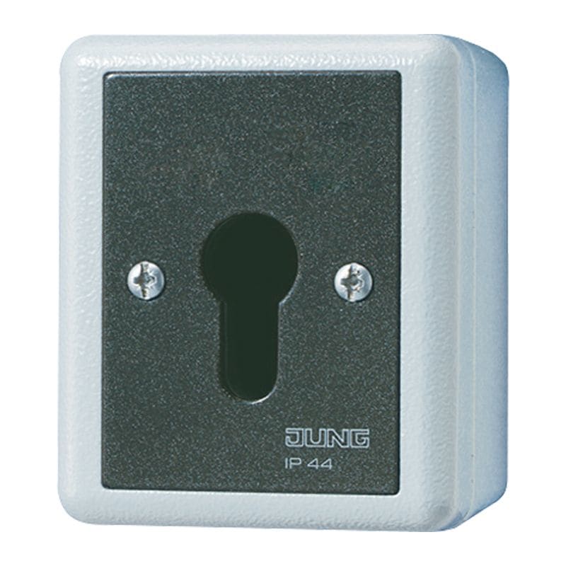 Jung - Interrupteur à clé IP 44 sailie / WG 800 Gris