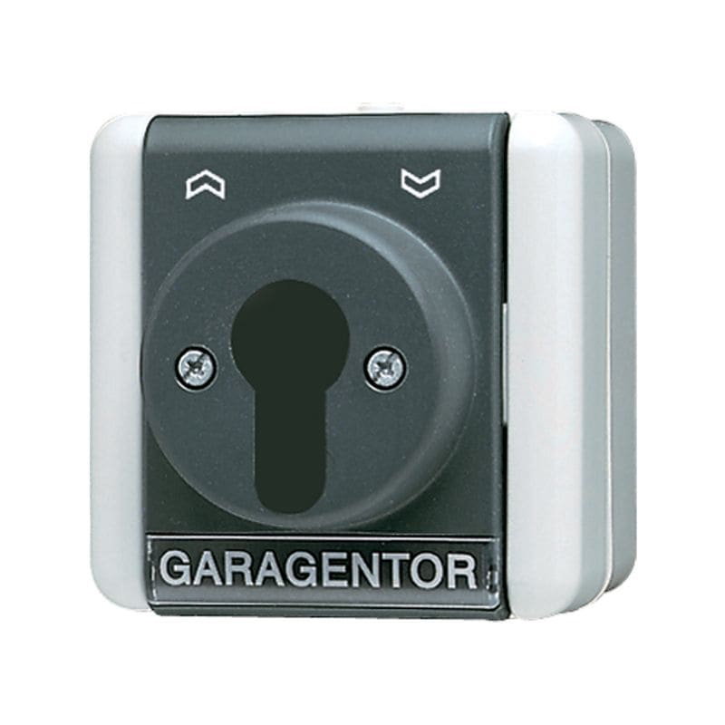 Jung - Interrupteur à clé IP 44 sailie / WG 800 Gris
