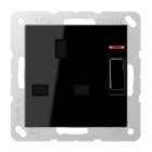 Jung - Prise standard BS  avec intterrupteur+voyant 13A 250 V / A 500 Noir