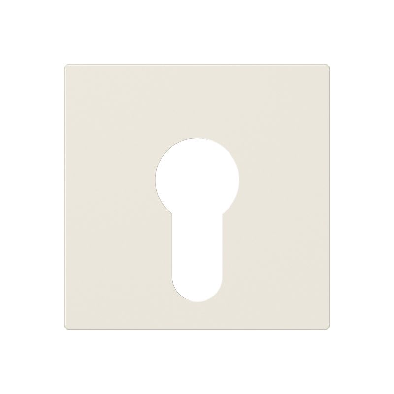 Jung - Enjoliveur pour IN et BP à clé version plate / A 500 Ivoire