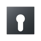 Jung - Enjoliveur pour IN et BP à clé version plate / A 500 Anthracite