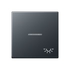 Jung - Enjoliveur avec symbole "lumière" à voyant / Série A 500 Anthracite