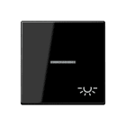 Jung - Enjoliveur avec symbole "lumière" à voyant / Série A 500 Noir