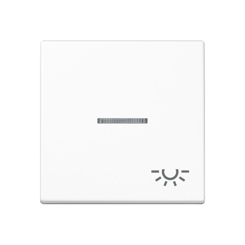 Jung - Enjoliveur avec symbole "lumière" à voyant / Série A 500 Blanc