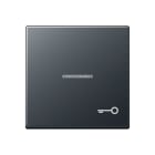 Jung - Enjoliveur avec symbole "gâche" à voyant / Série A 500 Anthracite