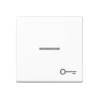 Jung - Enjoliveur avec symbole "gâche" à voyant / Série A 500 Blanc