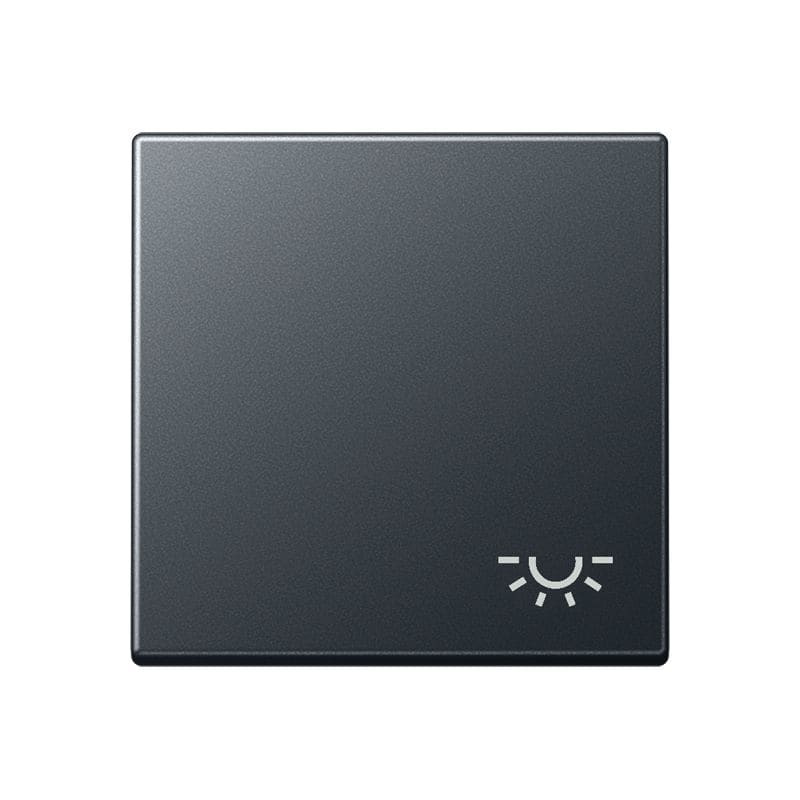 Jung - Enjoliveur avec symbole "lumière" / Série A 500 Anthracite