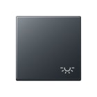 Jung - Enjoliveur avec symbole "lumière" / Série A 500 Anthracite