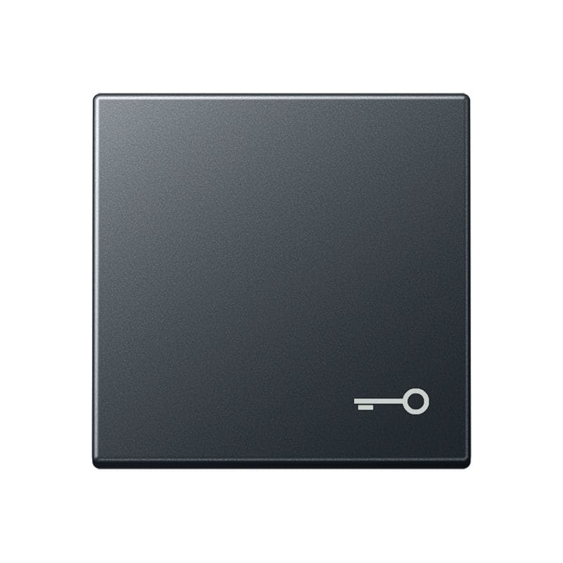 Jung - Enjoliveur avec symb "gâche" / Série A 500 Anthracite