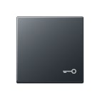 Jung - Enjoliveur avec symb "gâche" / Série A 500 Anthracite