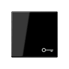 Jung - Enjoliveur avec symbole "gâche" / Série A 500 Noir