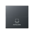 Jung - Enjoliveur Interrupteur Hotelcard / Série A 500 Anthracite