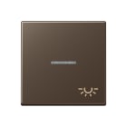 Jung - Enjoliveur avec symbole "lumière" à voyant / Série A 500 Moka