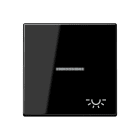 Jung - Enjoliveur avec symbole "lumière" à voyant / Série A 500 Noir