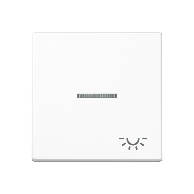 Jung - Enjoliveur avec symbole "lumière" à voyant / Série A 500 Blanc