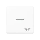 Jung - Enjoliveur avec symbole "lumière" à voyant / Série A 500 Blanc