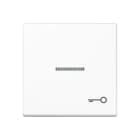 Jung - Enjoliveur avec symbole "gâche" à voyant / Série A 500 Blanc