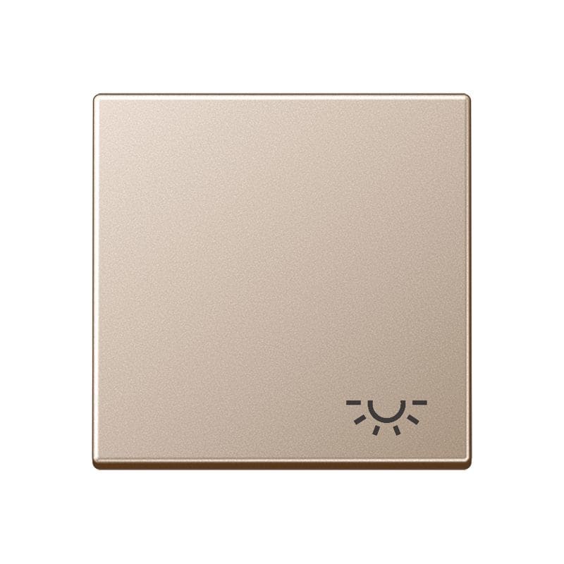 Jung - Enjoliveur avec symbole "lumière" / Série A 500 Champagne