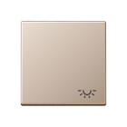 Jung - Enjoliveur avec symbole "lumière" / Série A 500 Champagne