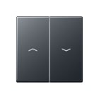 Jung - Enjoliveur double touche IN+BP VR-store / Série A 500 Anthracite