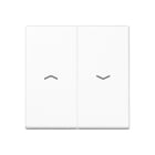 Jung - Enjoliveur double touche IN+BP VR-store / Série A 500 Blanc