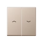 Jung - Enjoliveur double touche IN+BP VR-store / Série A 500 Champagne