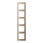 Jung - Cadre de finition 5 postes / Acréation Verre Champagne