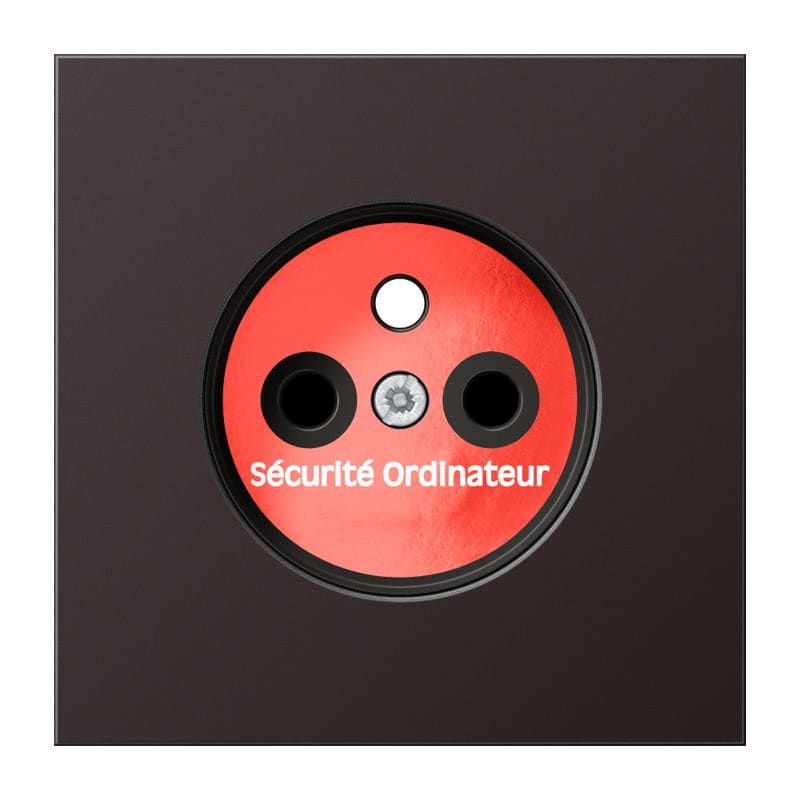 Jung - Enjoliveur prise de courant 2P+T "circuit info" / LS 990 Dark Canon de Fusil