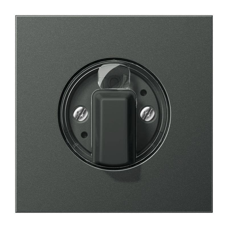 Jung - Enjoliveur pour interrupteur rotatif / LS 990 Titane Anthracite