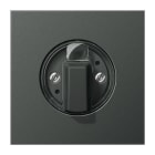 Jung - Enjoliveur pour interrupteur rotatif / LS 990 Titane Anthracite