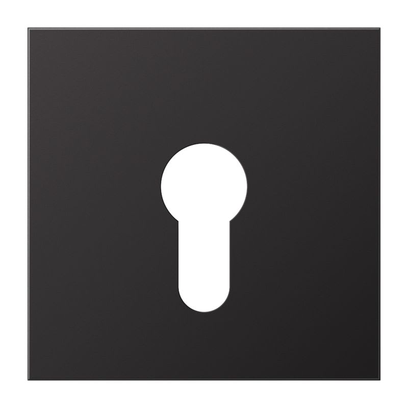 Jung - Enjoliveur pour IN et BP à clé version plate / LS 990 Dark Canon de Fusil