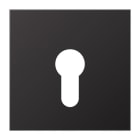 Jung - Enjoliveur pour IN et BP à clé version plate / LS 990 Dark Canon de Fusil