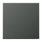Jung - Enjoliveur simple touche / LS 990 Titane Anthracite