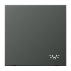 Jung - Enjo avec symbole "lumière" / LS 990 Titane Anthracite