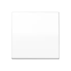 Jung - Enjo pour IN avec fixation à vis / Série AS 500 BF Blanc