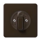 Jung - Enjoliveur pour interrupteur rotatif / CD 500 Brun