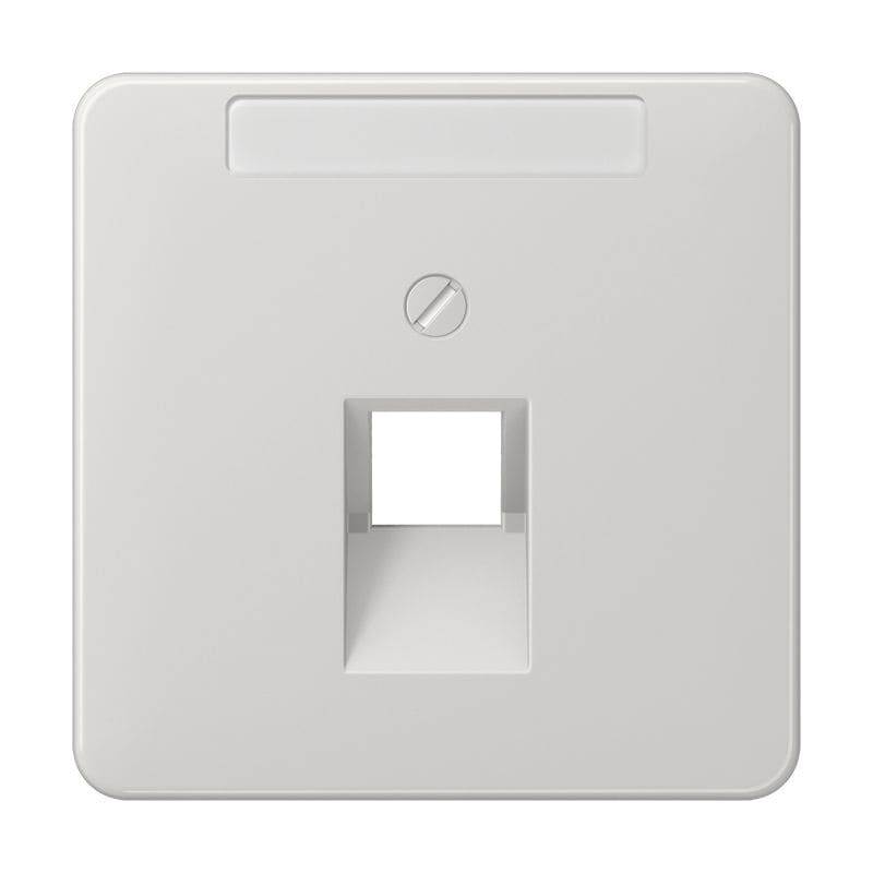 Jung - Enjoliveur pour prise IAE/UAE avec PE / CD 500 Gris clair