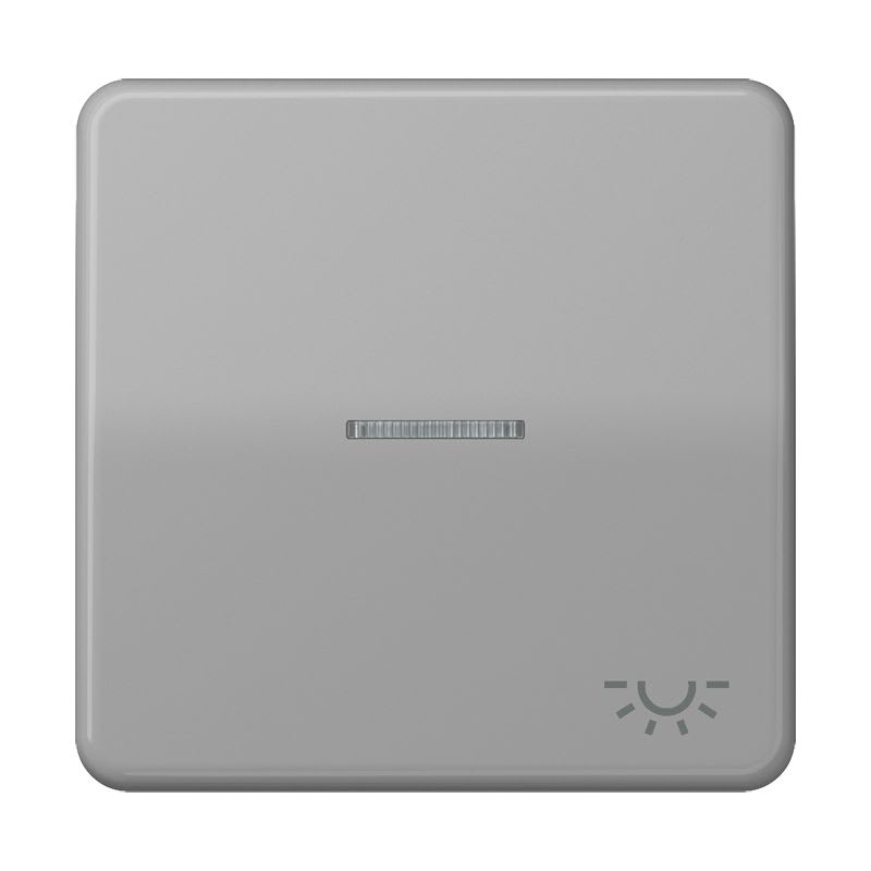 Jung - Enjoliveur avec symb "lumière" à voyant / CD 500 Gris