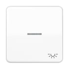 Jung - Enjoliveur avec symb "lumière" à voyant / CD 500 Blanc