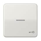 Jung - Enjoliveur avec symb "gâche" à voyant / CD 500 Gris clair