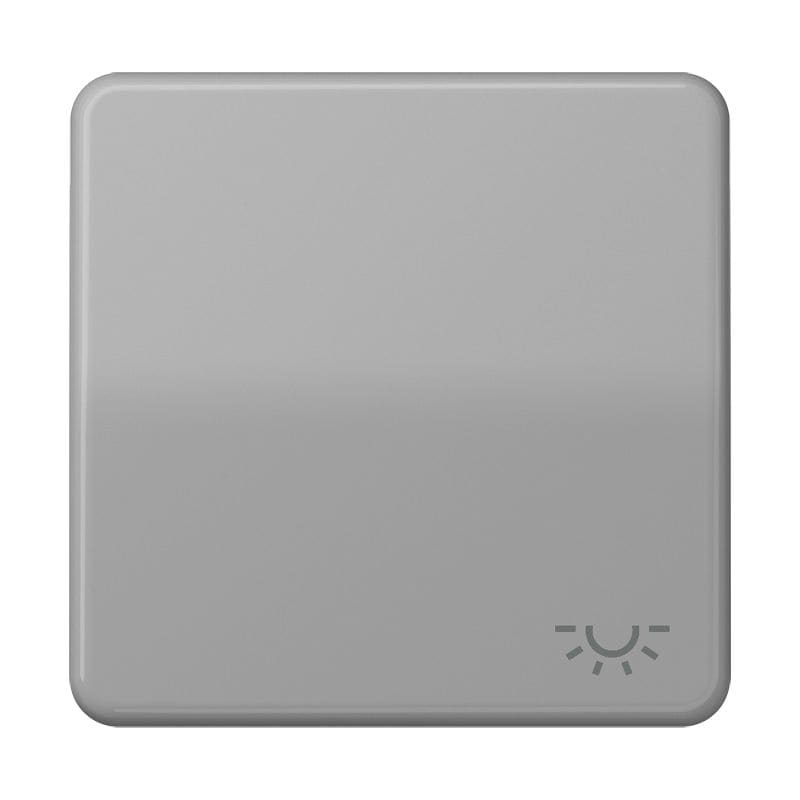 Jung - Enjoliveur avec symbole "lumière" / CD 500 Gris