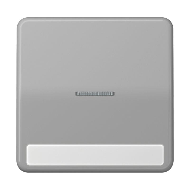 Jung - Enjoliveur simple touche porte étiquette & témoin / CD 500 Gris