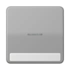 Jung - Enjoliveur simple touche porte étiquette & témoin / CD 500 Gris