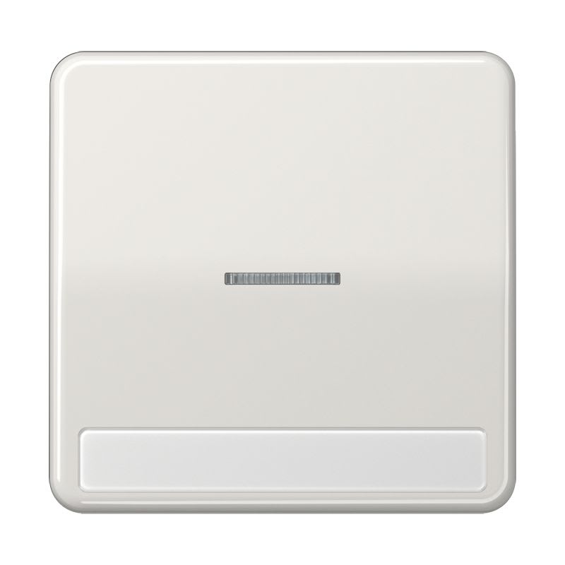 Jung - Enjoliveur simple touche porte étiquette & témoin / CD 500 Gris clair