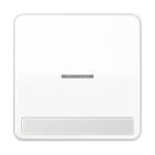 Jung - Enjoliveur simple touche porte étiquette & témoin / CD 500 Blanc