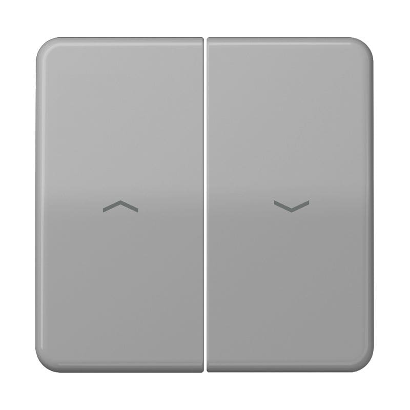Jung - Enjoliveur double touche IN+BP VR-store / CD 500 IP44 Gris