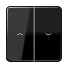 Jung - Enjoliveur double touche IN+BP VR-store / CD 500 Noir