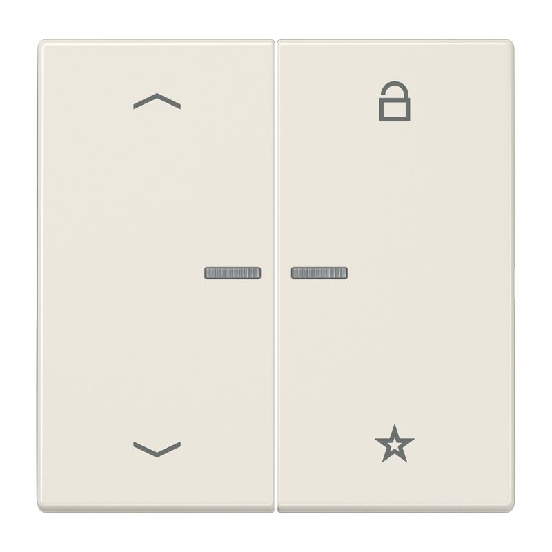 Jung - Enj eNet RF pour cde VR-Store / LS990 iv