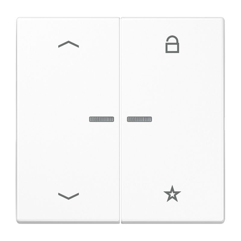 Jung - Enj eNet RF pour cde VR-Store / LS990 blc