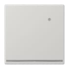 Jung - Dispositif lumineux d'orientation LED avec capteur / LS 990 Gris clair